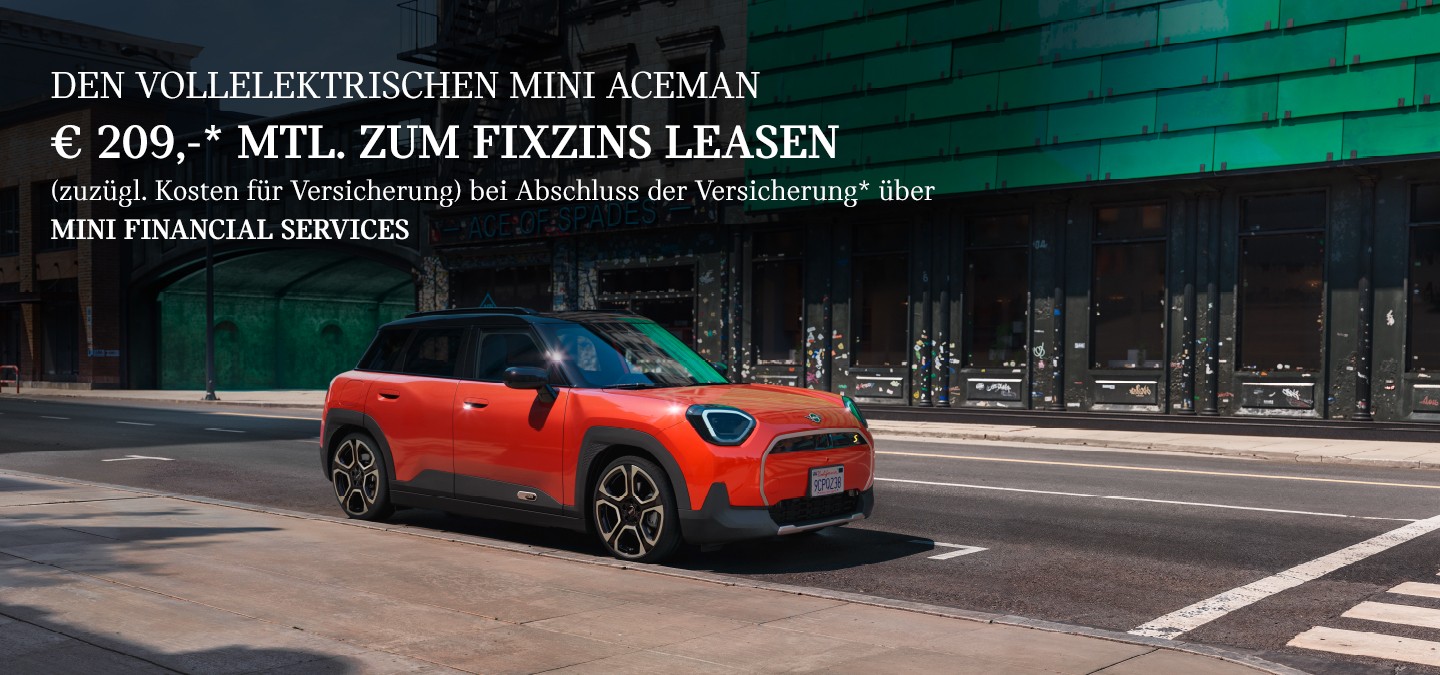DER VOLLELEKTRISCHE MINI ACEMAN E